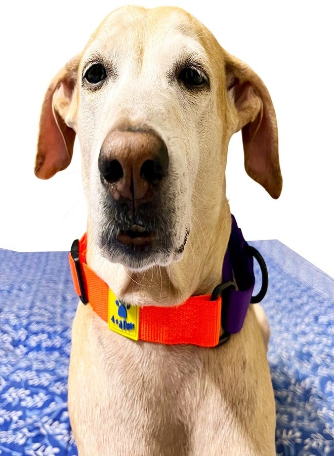 A+a Pets Martingale Dog Collar | No Pull Design, No Neck Strain, No Choke Design | for Large & Medium Dogs | Rust Free, Waterproof Nylon Training Collar (Orange & Purple), 30 x 2.5 cm - Image 3